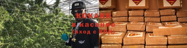 индика Наволоки