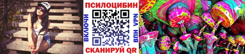 где найти наркотики  Химки  Галлюциногенные грибы Psilocybe 