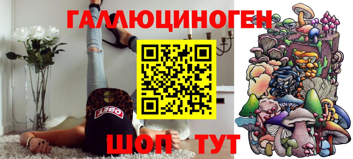 Галлюциногенные грибы Magic Shrooms  Химки  Псилоцибиновые грибы ЛСД 