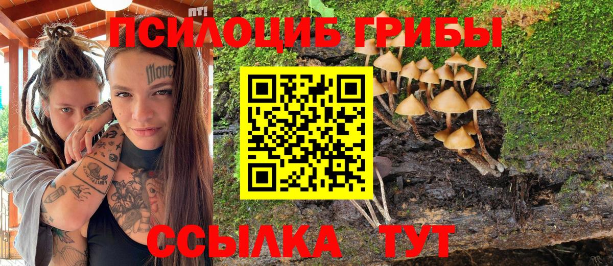 Химки  Галлюциногенные грибы мухоморы  закладки  Вход с VPN 