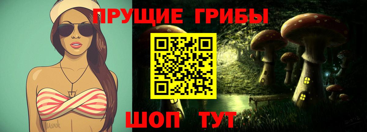 Галлюциногенные грибы Psilocybine cubensis Химки